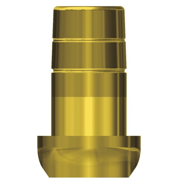 BRANEMARK  CONVERTITORE RUOTANTE NEW H2.5_GOLD copia56